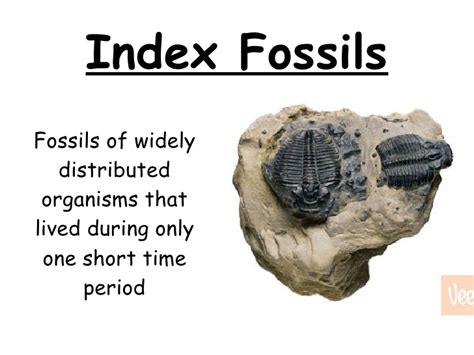 Scientists can use certain types of fossils referred to as index fossils. Law of Superposition & Index Fossils - 8TH GRADE SCIENCE