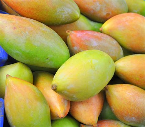 Get To Know About The Popular The Seasonal Fruits In India Ixigo