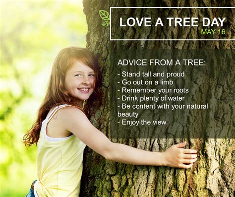 National Love A Tree Day In Usa In 2024 There Is A Day For That