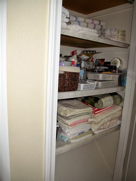 Is engineered pine the best wood flooring for dogs? Cheerful Thrifty Door: Slanted Closet Floor ~ Problem Sloved