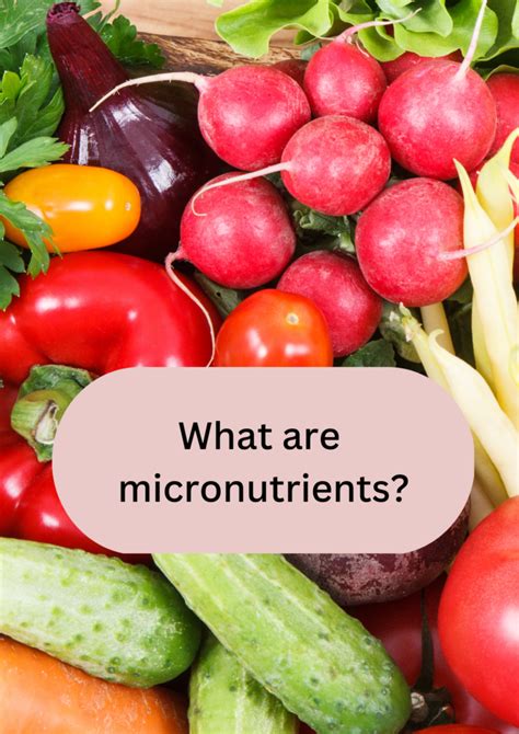 What Are Micronutrients Ar Nutrition