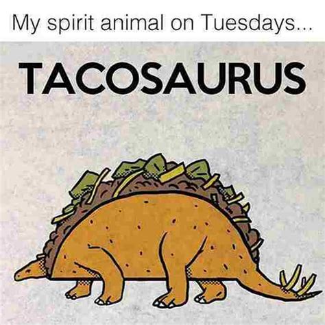 15 Happy Tuesday Memes Best Funny Tuesday Memes