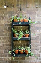Photos of Hanging Plant Shelf Diy