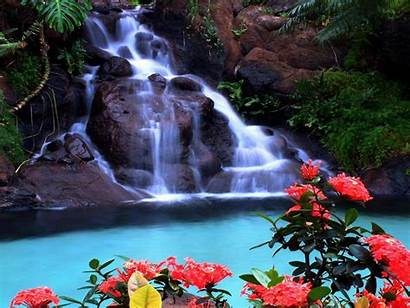 Waterfall Tropical Wallpapers13 Wallpapers