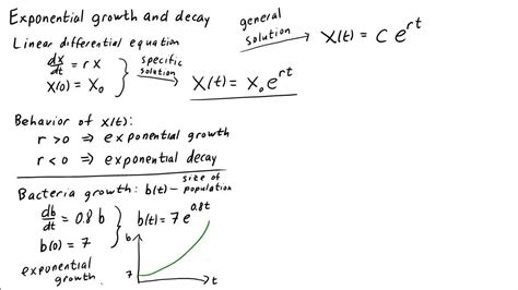 Growth And Decay Worksheet