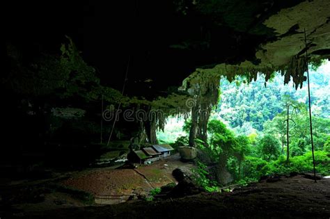 Niah Cave Sarawak Editorial Stock Photo Image Of Niah 124457053