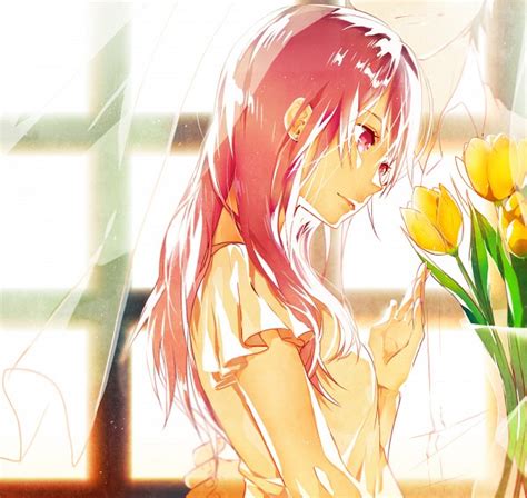 Tulip Flower Zerochan Anime Image Board
