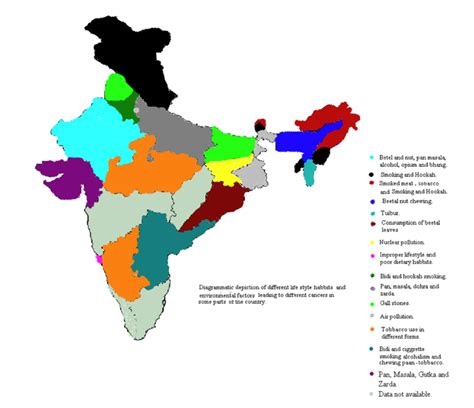 Etiological Factors For The Prevalence Of Different Cancers In India