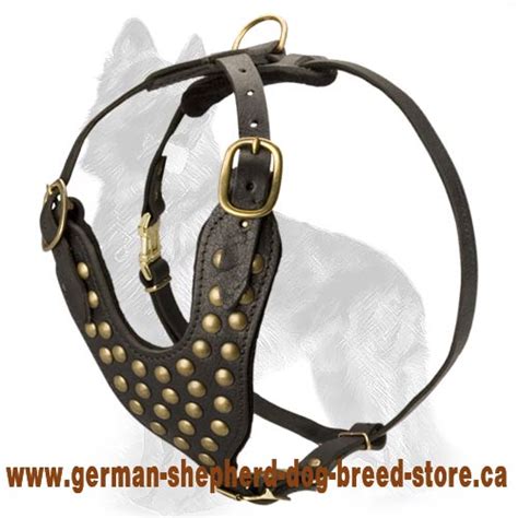 Studded Leather Dog Harness For German Shepherds H151098 Best Dog