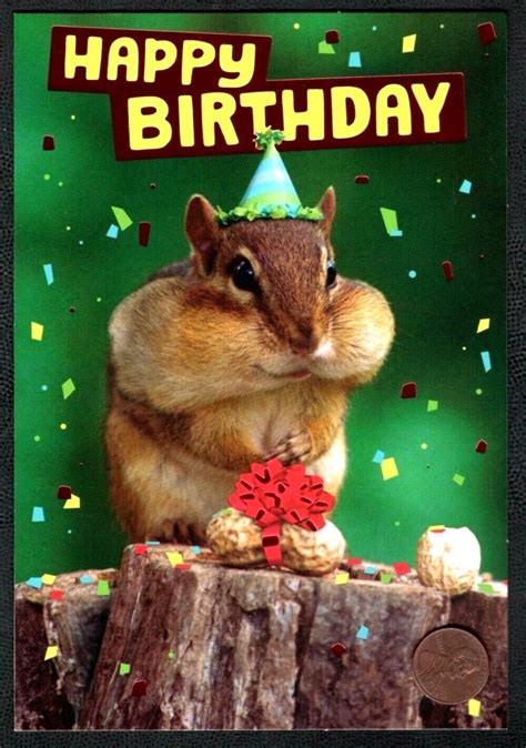 Birthday Squirrel Nuts Red Shine Bow Party Hat Confetti Birthday