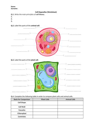 Cell Organelles Worksheet Distance Learning Teaching Resources