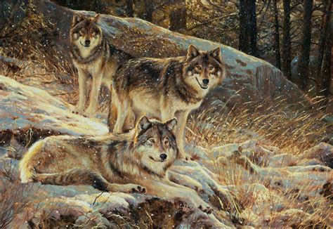 Wallpapers For Wolf Pack Wallpaper Wolf Artwork Animal Photography