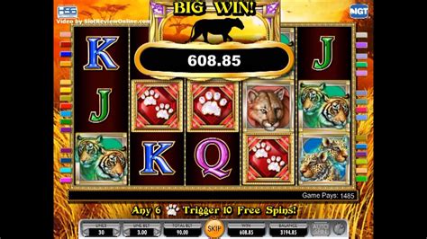 IGT Cats Online Slot Machine Game Play - YouTube