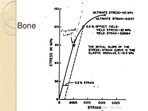 2 Mechanical Properties Of Bone