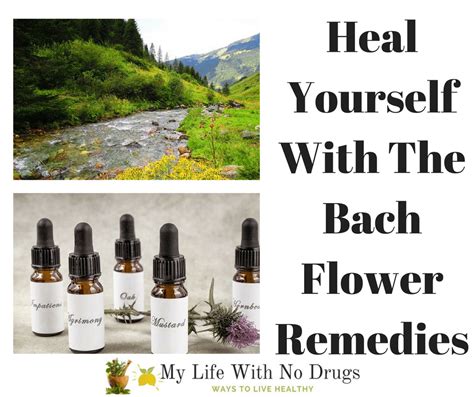 Heal Yourself With The Bach Flower Remedies My Life With No Drugs