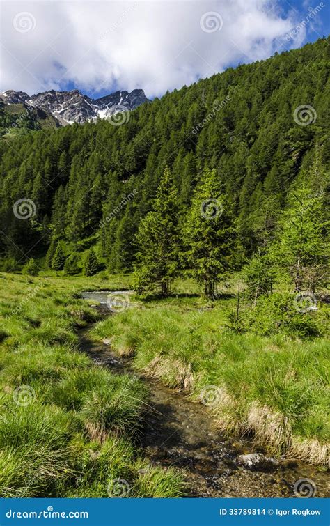 Alpine Meadow Landscape Of High Mountains On A Clear Summer Sunny Day