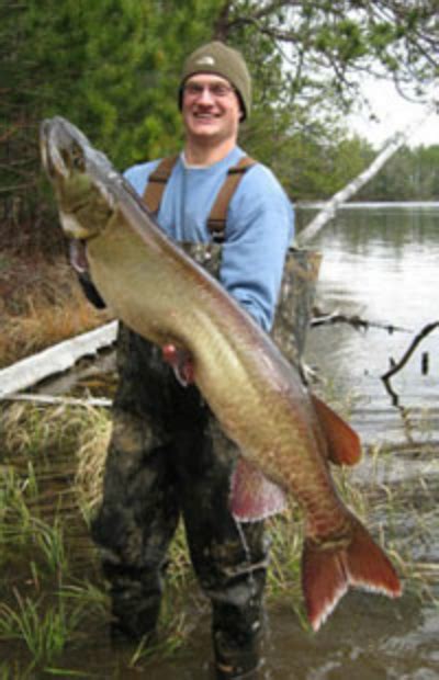 The Musky The Muskellunge Esox Masquinongy Is One Of Wis Most