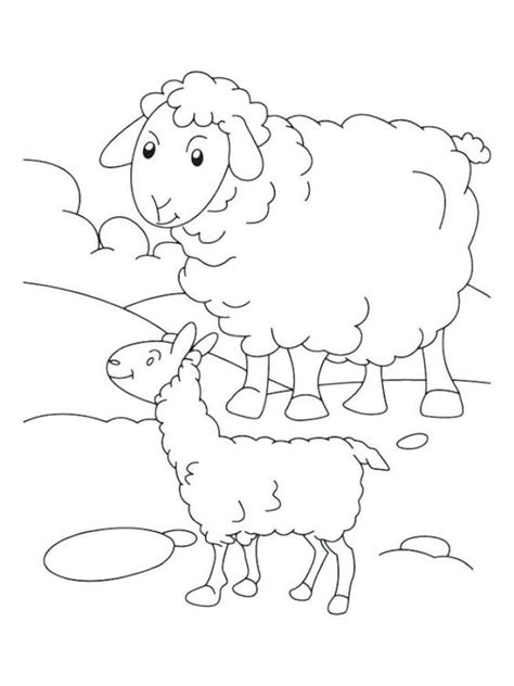 Gambar Mewarnai Domba Untuk Anak Tk Paud Dan Sd Pintar Mewarnai