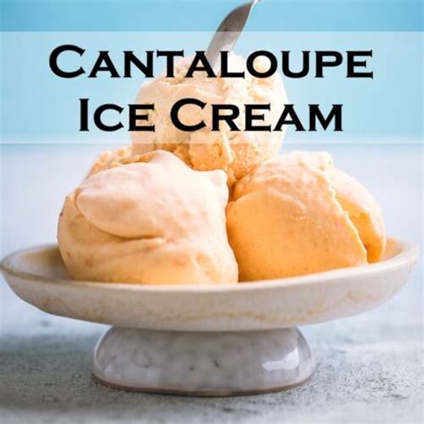 Cantaloupe Ice Cream Recipe Serving Ice Cream