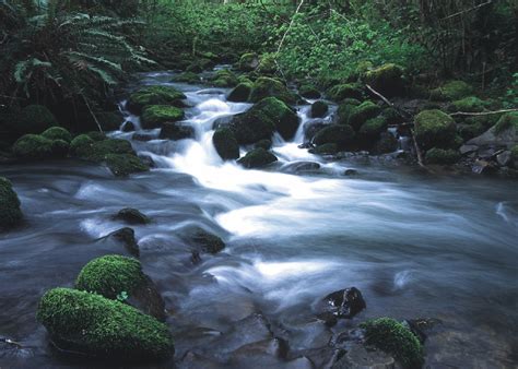 Free Photo Running Stream Creek Flow Landscape Free Download