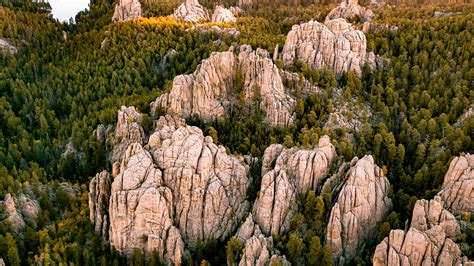 A Very Helpful Guide To The Black Hills National Forest Photos Video