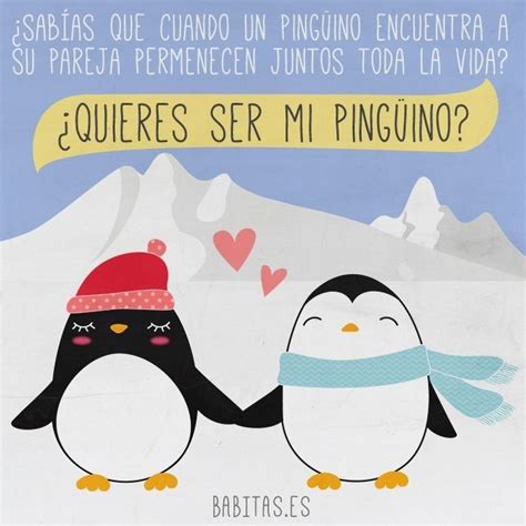 Quieres ser mi pingüino Frases d amor Cartões de amor Texto de amor