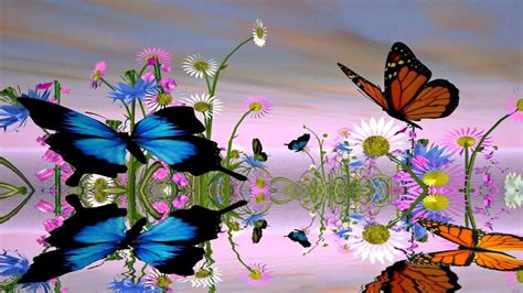 Fantastic Butterfly Animated Wallpaper Youtube
