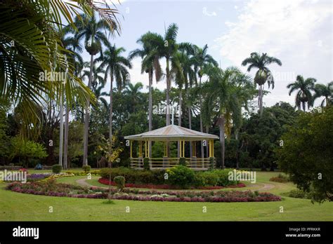 Hope Botanical Garden Jamaica Hi Res Stock Photography And Images Alamy