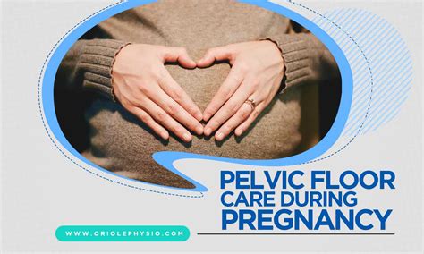 Pelvic Floor Care During Pregnancy Oriole Physiotherapy