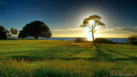 We did not find results for: 69+ Windows Nature Wallpapers on WallpaperPlay