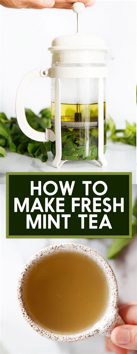 How To Make Fresh Mint Tea Recipe Mint Tea Recipe Fresh Mint Tea