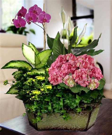 Shop proflowers® today & deliver fresh flowers to marietta! Best Florist in Marietta GA | Carithers Flowers