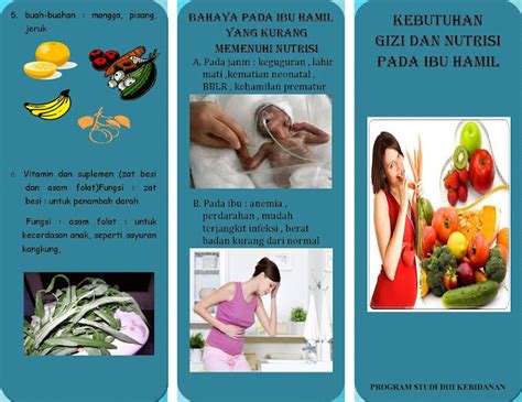 Secerah Daisy Leaflet Kebutuhan Gizi Dan Nutrisi Pada Ibu Hamil