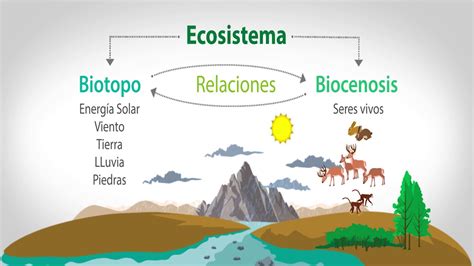 Mi Clase De Quinto La Gineta Los Ecosistemas Tipos De Ecosistemas