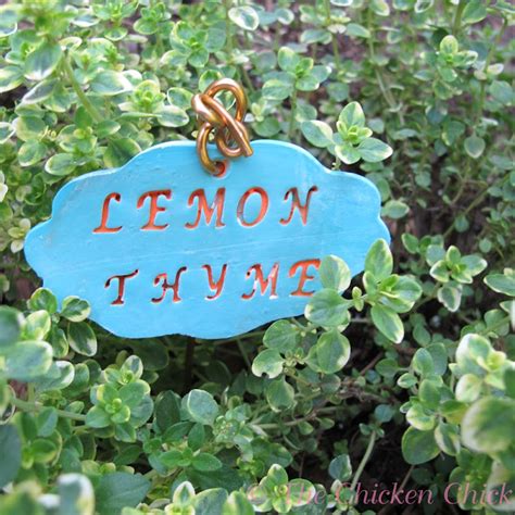 Diy Garden Markers Using Polymer Clay The Chicken Chick