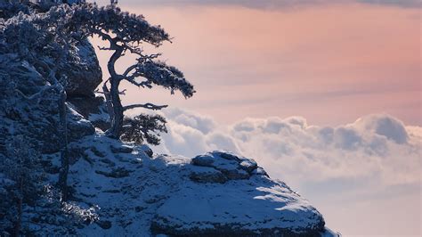 1920x1080 1920x1080 Clouds Mountains Pines Winter Snow Crimea