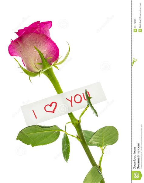 I Love You Message Stock Image Image Of Gesture Card