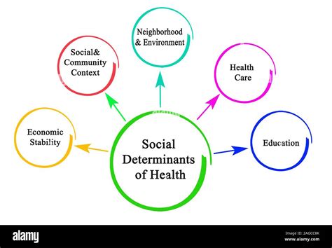Social Determinants Of Health Infographic Bold Busine