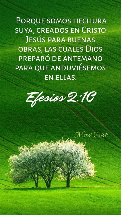 Mensajes Cristianos Efesios Frases Biblicas De Aliento Hot Sex Picture