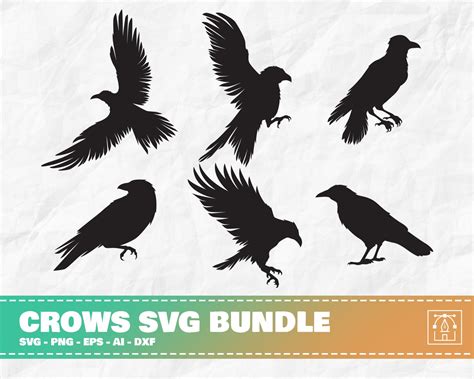 Crow Svg Bundle Crow Clipart Bundle Crow Png Bundle Raven Svg Raven