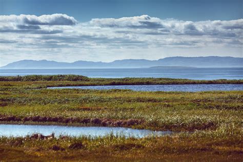 Free Images Landscape Sea Coast Nature Horizon Swamp Wilderness