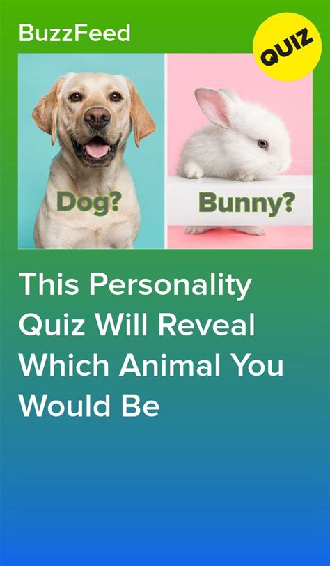What Pet Should I Get Quiz Buzzfeed Allyson Yang
