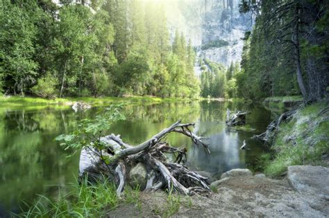 Yosemite National Park Stock Image Image Of River Rock 82138919