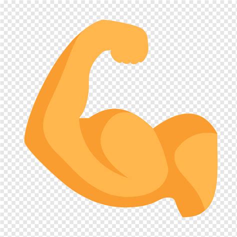 Biceps Curl Computer Icons Triceps Brachii Muscle Arm Text Orange