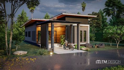 Myhouseplanshop Single Story Modern House Plan With Bare Cement Mortar