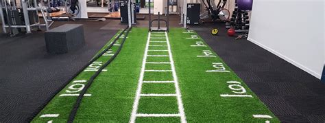 Gym Grass Nz Artificial Turf For Gyms Smartgrass