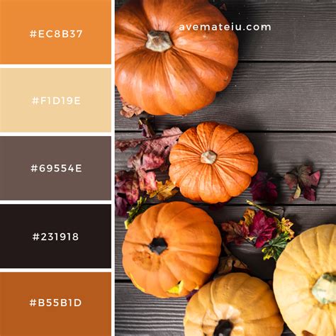 Orange Pumpkins On Gray Wooden Surface Color Palette 79
