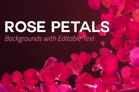 15 Free Rose Petal Overlays Png  Download Graphic Cloud