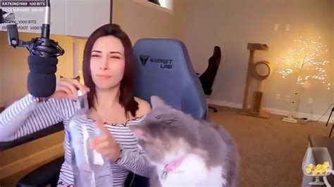 Alinity Feeds Her Cat Vodka On Twitch Stream Youtube
