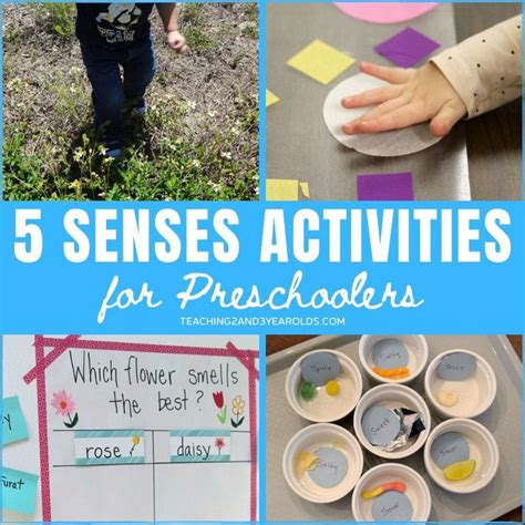 Preschool Five Senses Activities 5 Senses Activities Senses